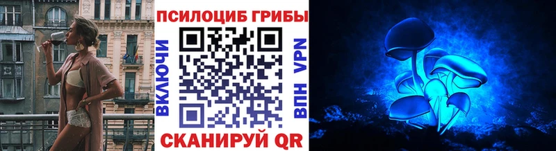 kraken сайт  где купить   Белоозёрский  Галлюциногенные грибы прущие грибы 